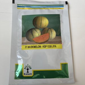 KSP 1338 Jiya F1 Musk Melon Seeds - Kalash Seeds