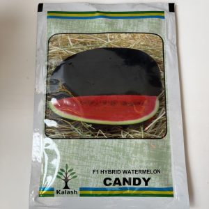 Candy F1 Hybrid Water Melon Seeds - Kalash Seeds
