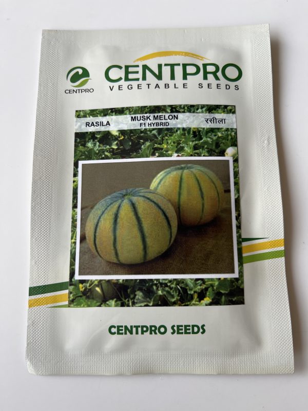 Rasila F1 Hybrid Musk Melon Seeds - Centpro Vegetable Seeds