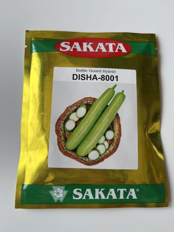 Disha-8001 Hybrid Bottle Gourd Seeds - Sakata Seeds