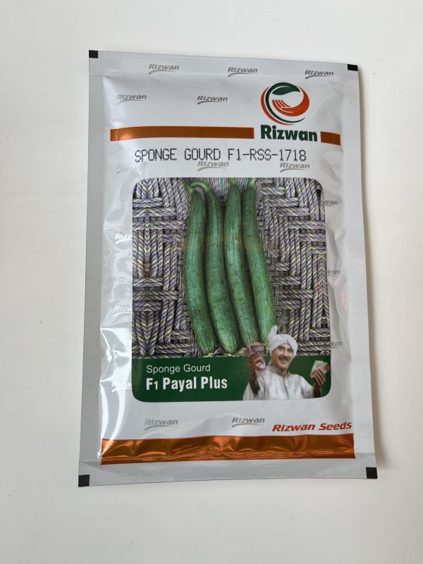 Payal Plus F1-RSS-1718 Sponge Gourd Seeds - Rizwan Seeds