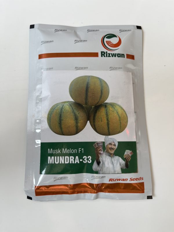 Mundra - 33 F1 Musk Melon Seeds - Rizwan Seeds