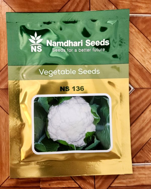 NS 136 Cauliflower Seeds - Namdhari Seeds