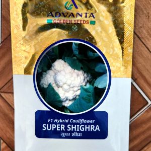 Super Shighra F1 hybrid Seeds - Advanta Golden Seeds