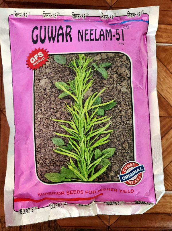 Neelam 51 Cluster beans Seeds - GFS Seeds