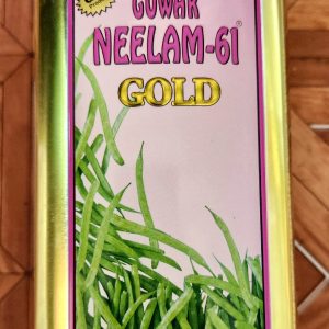 Neelam 61 Gold Clusterbean Seeds - GFS