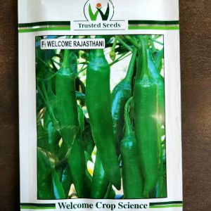 F1 Welcome Rajasthani Chilli Seeds - Trusted Seeds