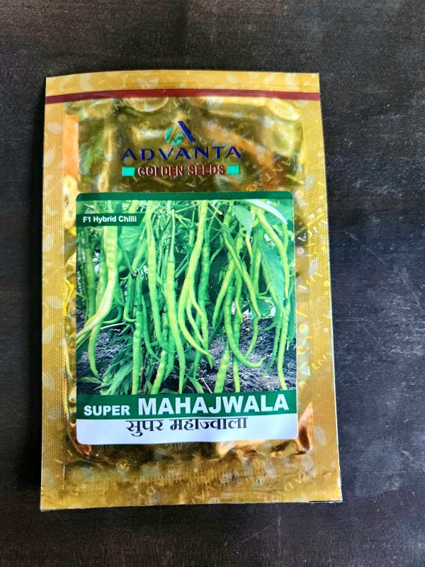 Super Mahajwala Chilli Seeds - Advanta Golden Seeds