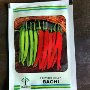 Baghi F1 Hybrid Chilli Seeds - Kalash Seeds