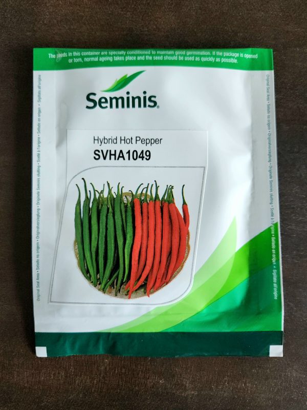 SVHA 1049 Hybird Hot Pepper Chilli Seeds - Seminis Seeds