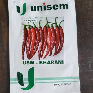 USM Bharani F1 Hybrid Chilli Seeds - Unisem Seeds