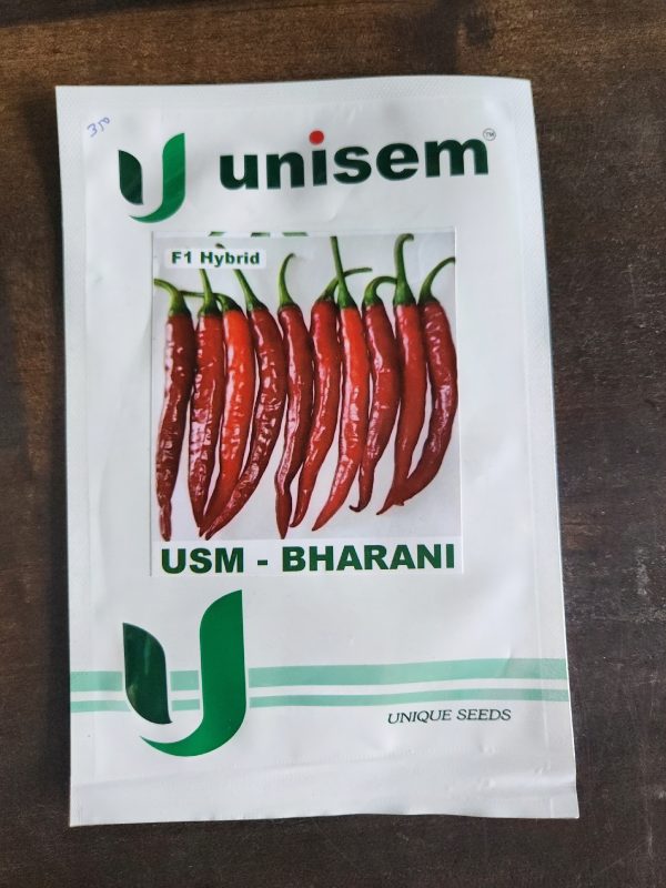 USM Bharani F1 Hybrid Chilli Seeds - Unisem Seeds