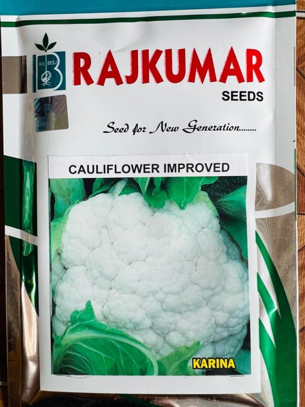 Improved Karina Cauliflower Seeds - Rajkumar Seeds