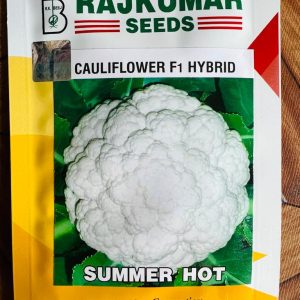 Summer Hot F1 Hybrid Cauliflower Seeds - Rajkumar Seeds