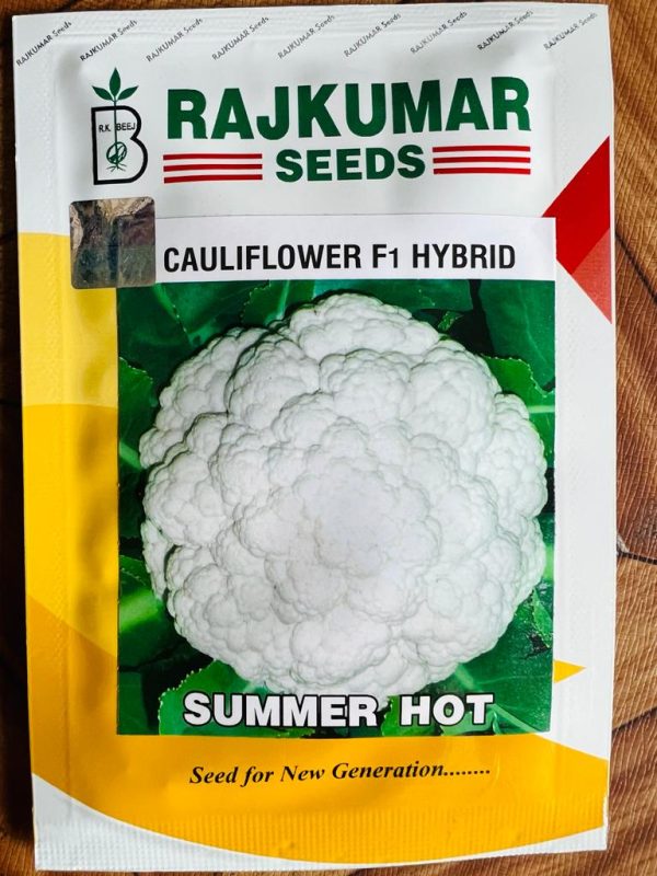 Summer Hot F1 Hybrid Cauliflower Seeds - Rajkumar Seeds