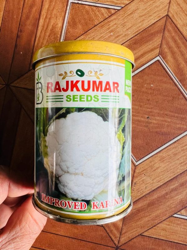 Improved Karina Cauliflower Seeds - Rajkumar Seeds