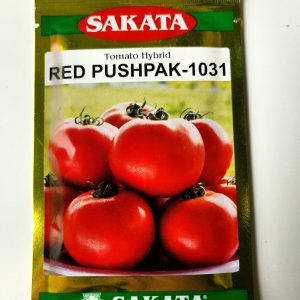 Red Pushpak 1031 Hybrid Tomato Seeds - Sakata Seeds