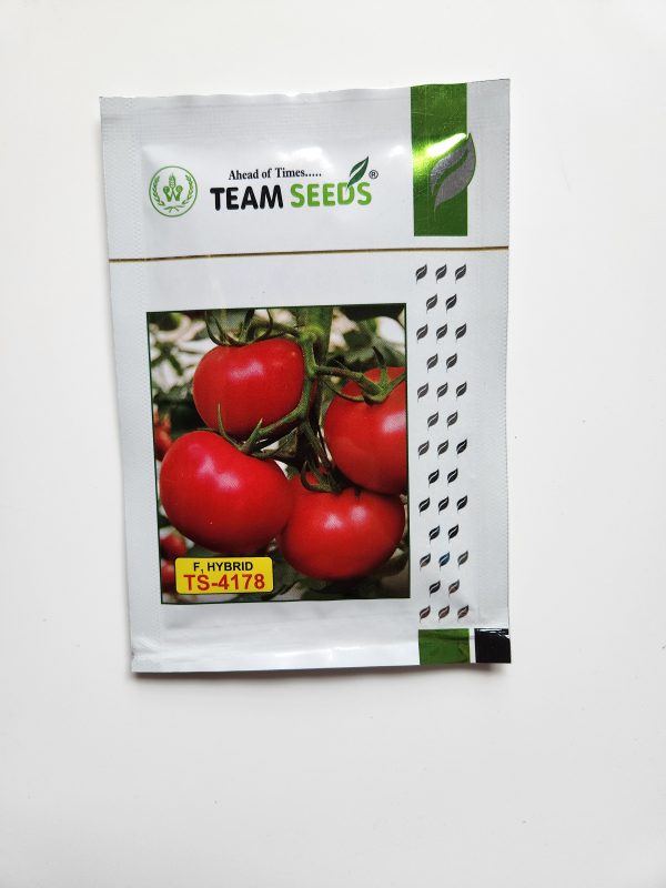 TS-4178 Tomato Seeds - Team Seeds