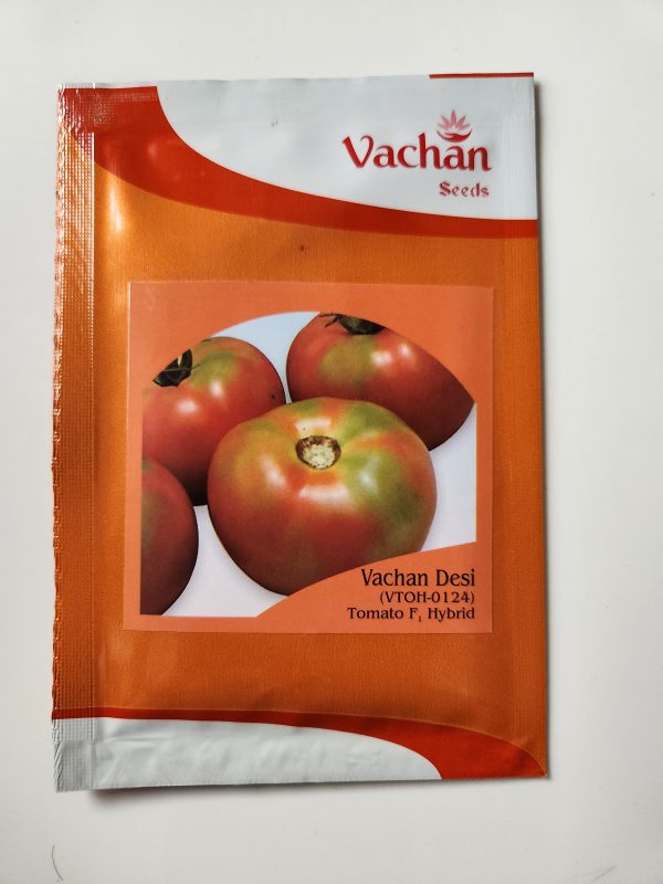 Vachan Desi Tomato Seeds - Vachan Seeds